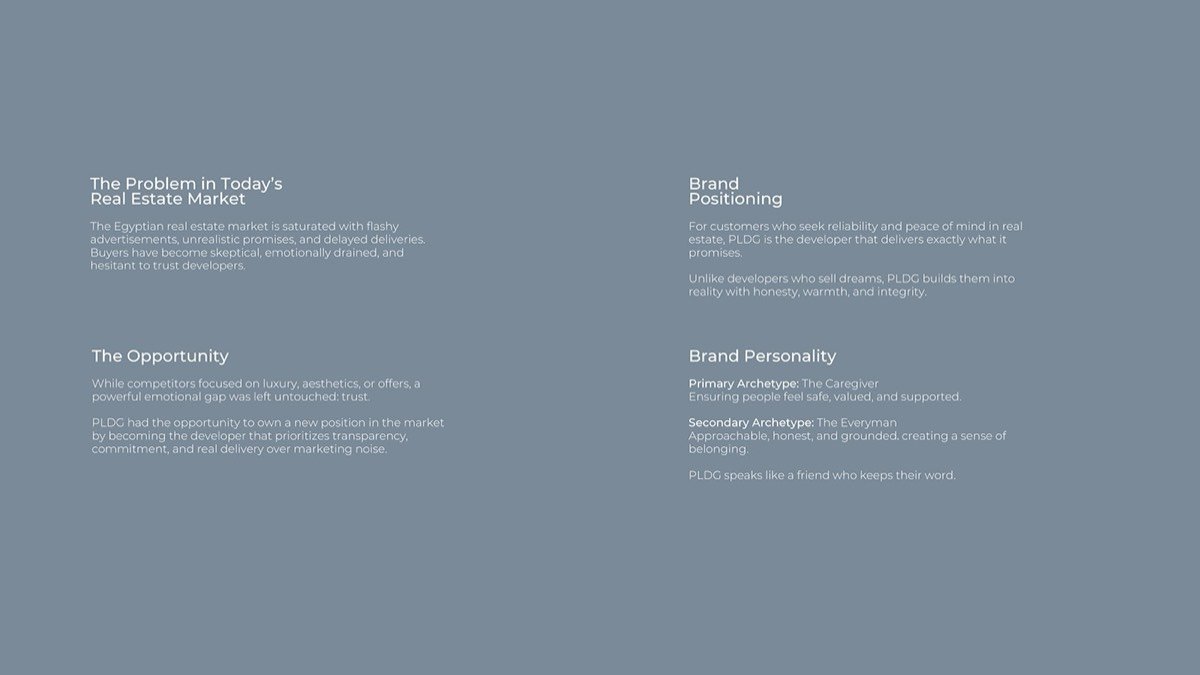 PLDG — Brand strategy (2)