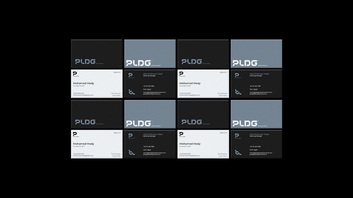 PLDG — Brand strategy (4)
