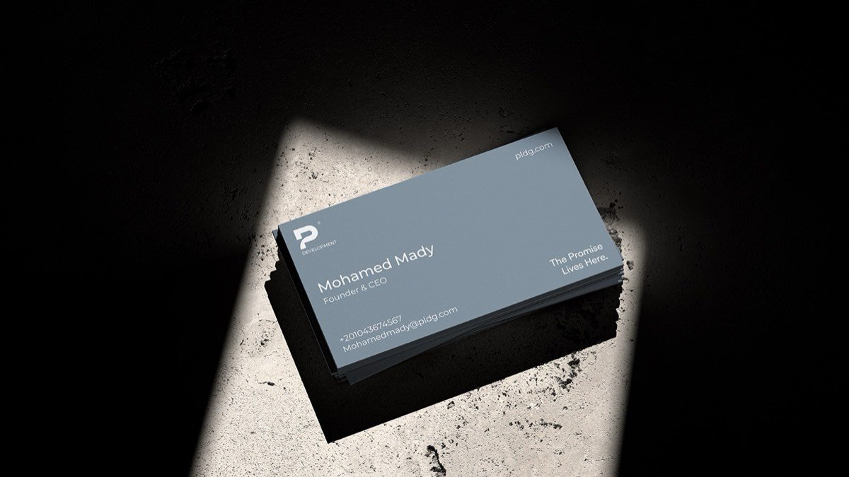 PLDG — Brand strategy (7)